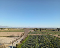 Sale - Townhouse - Daya Vieja