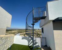 Sale - Villa - Algorfa - Comunidad valenciana