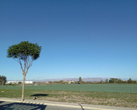 Sale - Villa - Daya Vieja