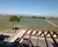 Sale - Villa - Daya Vieja