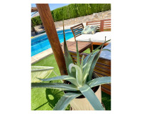 Sale - Villa / Detached - Ciudad Quesada - Quesada Center