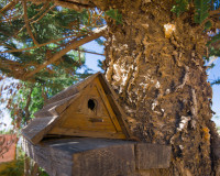 Sale - Villa - La Siesta - El Salado - Torreta - La Siesta