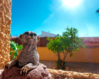 Sale - Villa - La Siesta - El Salado - Torreta - La Siesta