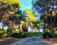 Sale - Villa - Orihuela Costa - Campoamor