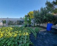 Sale - Villa - Orihuela Costa - TORREVIEJA