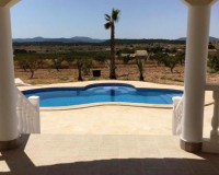 Sale - Villa - Pinós - Alicante