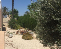 Sale - Villa - Torrevieja - TORREVIEJA