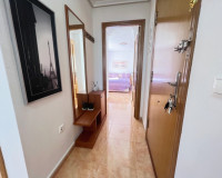 Short time rental - Penthouse - Guardamar del Segura