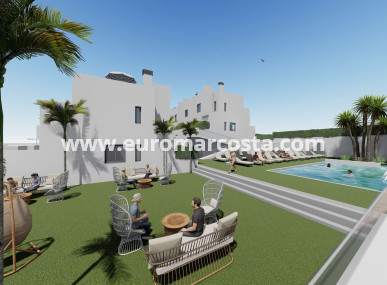 terraced - New Build - Cox - Cox