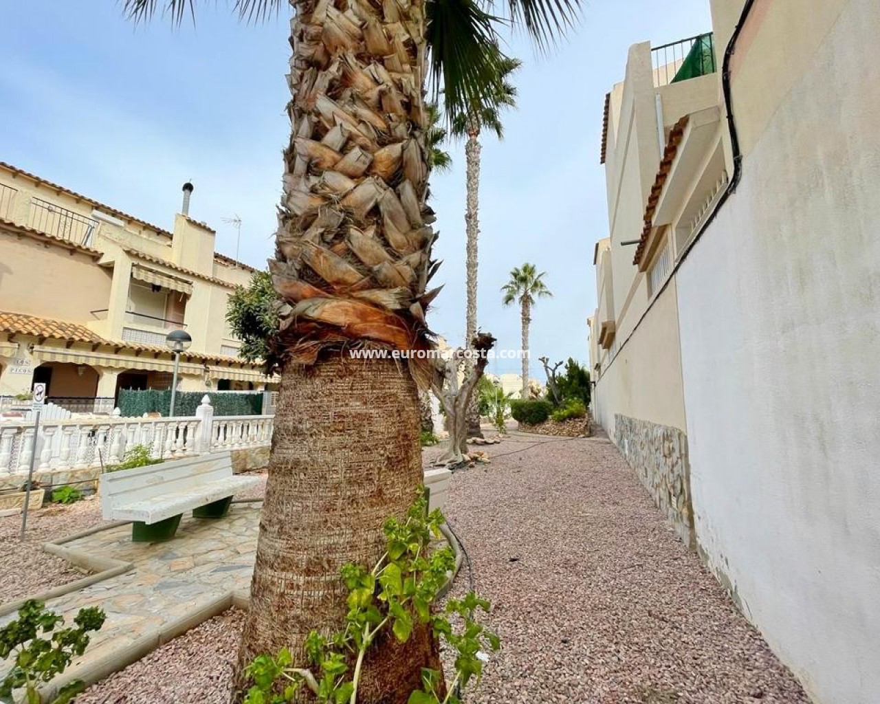 Townhouse · Sale · Guardamar del Segura · 4001