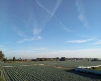 Venta - Adosado - Daya Vieja