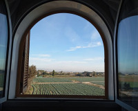 Venta - Adosado - Daya Vieja