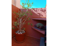 Venta - Adosado - Torrevieja - Aguas Nuevas