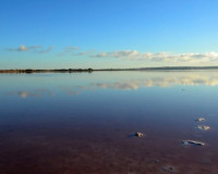 Venta - Adosado - Torrevieja - TORREVIEJA