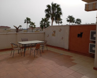 Venta - Apartamento / piso - Daya Vieja