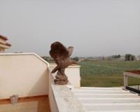 Venta - Apartamento / piso - Daya Vieja