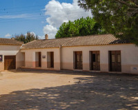 Venta - Apartamento / piso - Formentera del Segura