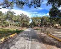 Venta - Apartamento / piso - Guardamar del Segura