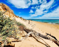 Venta - Apartamento / piso - Guardamar del Segura