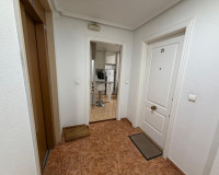 Venta - Apartamento / piso - Guardamar del Segura