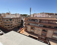 Venta - Apartamento / piso - Guardamar del Segura