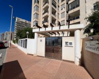 Venta - Apartamento / piso - Guardamar del Segura