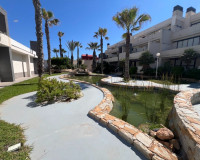 Venta - Apartamento / piso - La Mata
