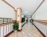 Venta - Apartamento / piso - La Mata