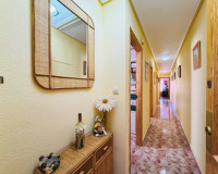 Venta - Apartamento / piso - La Mata