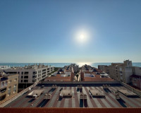 Venta - Apartamento / piso - La Mata