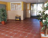 Venta - Apartamento / piso - Rafal