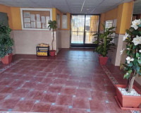 Venta - Apartamento / piso - Rafal