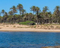 Venta - Apartamento / piso - Torrevieja - Orihuela Costa