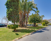 Venta - Apartamento / piso - Torrevieja - TORREVIEJA