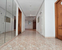 Venta - Apartamento / piso - Torrevieja - TORREVIEJA