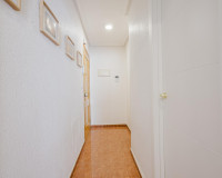 Venta - Apartamento / piso - Torrevieja - TORREVIEJA