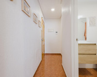 Venta - Apartamento / piso - Torrevieja - TORREVIEJA