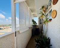 Venta - Apartamento / piso - Torrevieja - TORREVIEJA