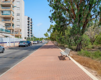 Venta - Apartments - Guardamar del Segura - Guardamar