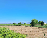 Venta - Ático - Almoradi - Almoradí