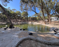 Venta - Bungalow Planta Baja - Guardamar del Segura