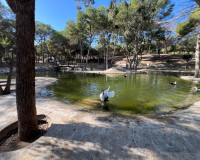 Venta - Bungalow Planta Baja - Guardamar del Segura