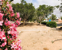 Venta - Bungalow Planta Baja - Los Montesinos