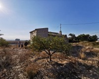 Venta - Casa de campo - Crevillente