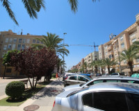 Venta - Casa de campo - Elche Pedanías - La Marina