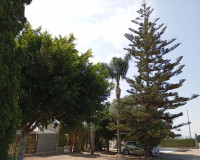Venta - Casa de campo - Rojales