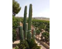 Venta - Casa de campo - Rojales