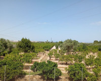 Venta - Casa de campo - Rojales