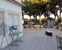 Venta - Casa de campo - Torrevieja - TORREVIEJA