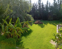 Venta - Detached house - Daya Nueva